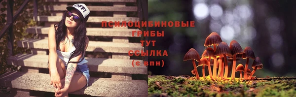 крисы Армянск