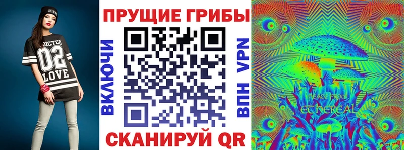 ссылка на мегу tor  Елец  Галлюциногенные грибы Magic Shrooms  продажа наркотиков 